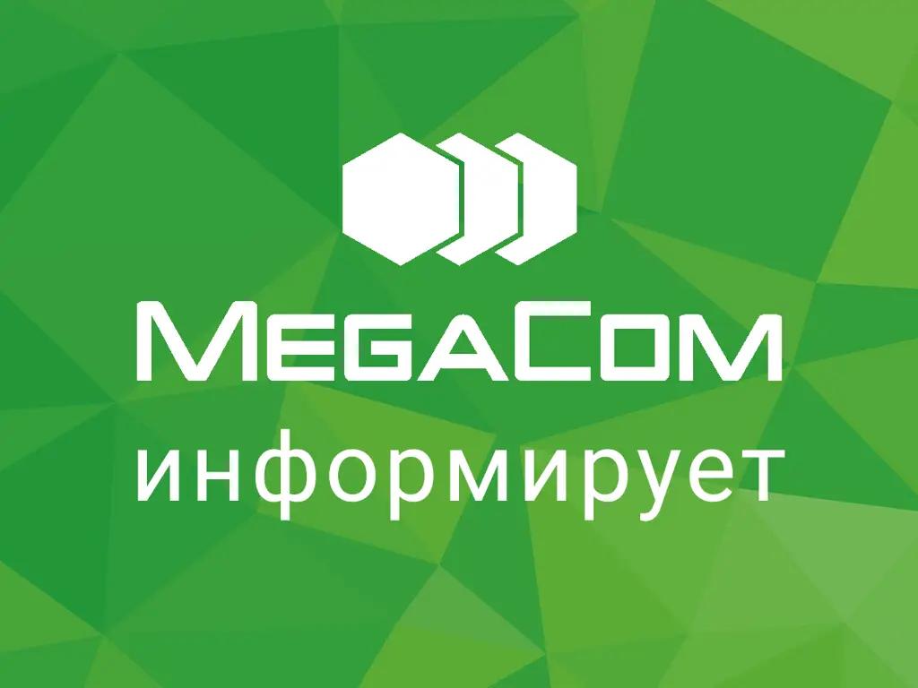 MegaCom работает в штатном режиме. Безопасность обеспечивают народные дружины