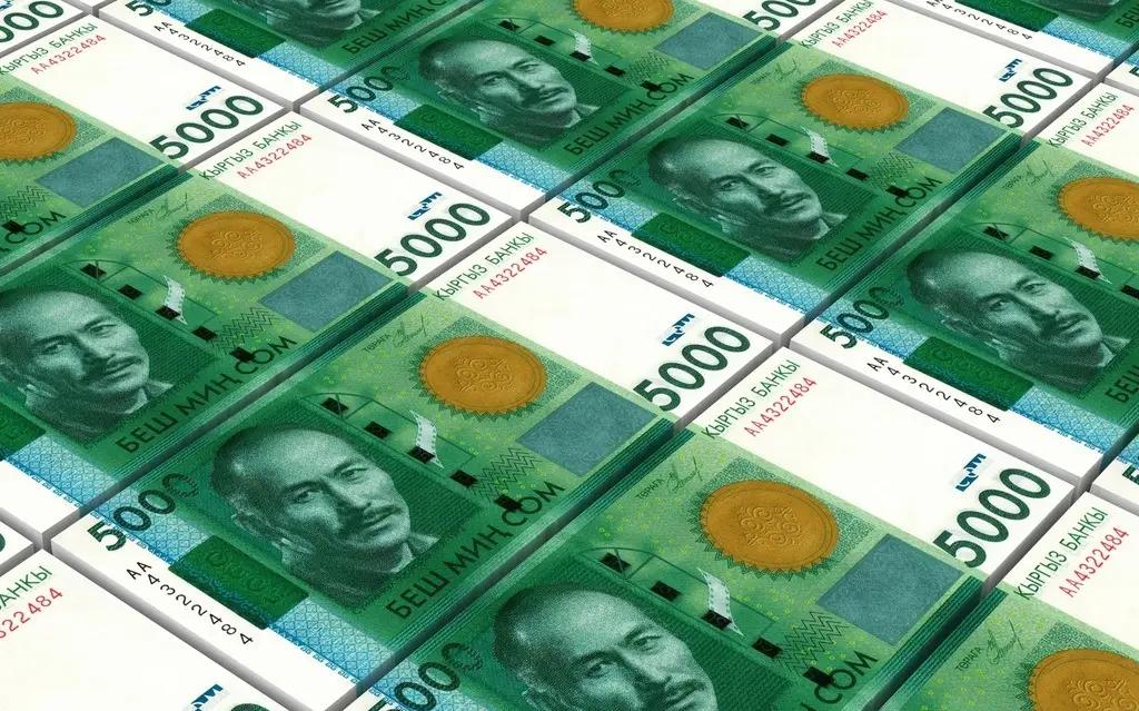 На счет помощи баткенцам поступило 17.4 млн сомов