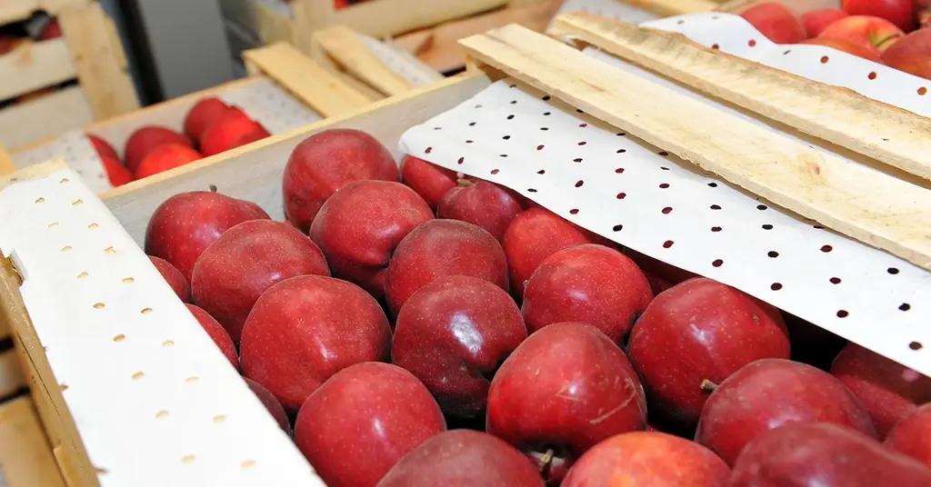 Лучший экспортер-2017: стали известны условия конкурса