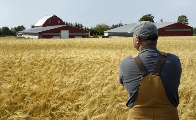 В КР стоимость сельхозпродукции фермера составляет $1.5 тысячи