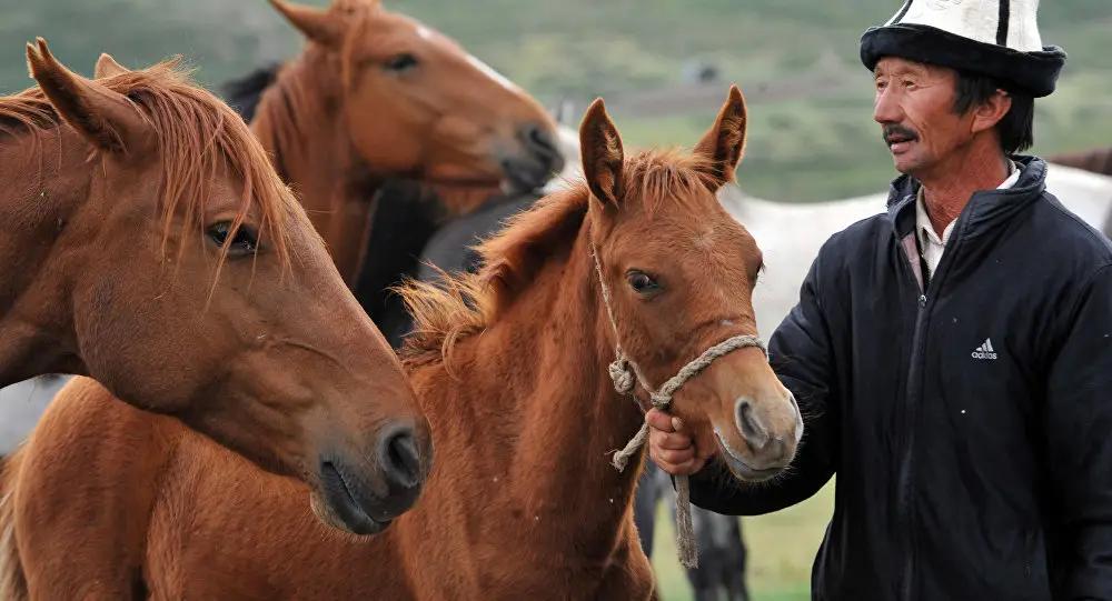 В КР чаще остальных льготные кредиты брали животноводы