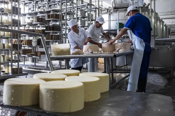 USAID  помог расширить ассортимент молочному предприятию