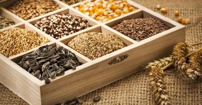 Семеноводческим хозяйствам передано 11 тысяч гектаров земли