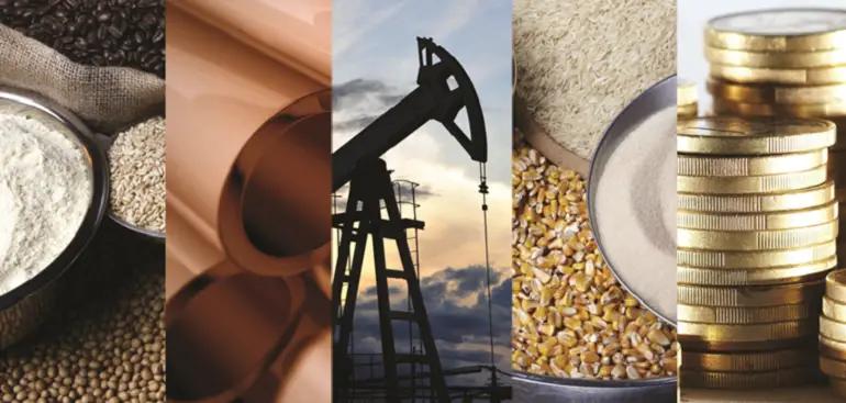 В Кыргызстане возобновил работу товарно-сырьевой сектор биржи