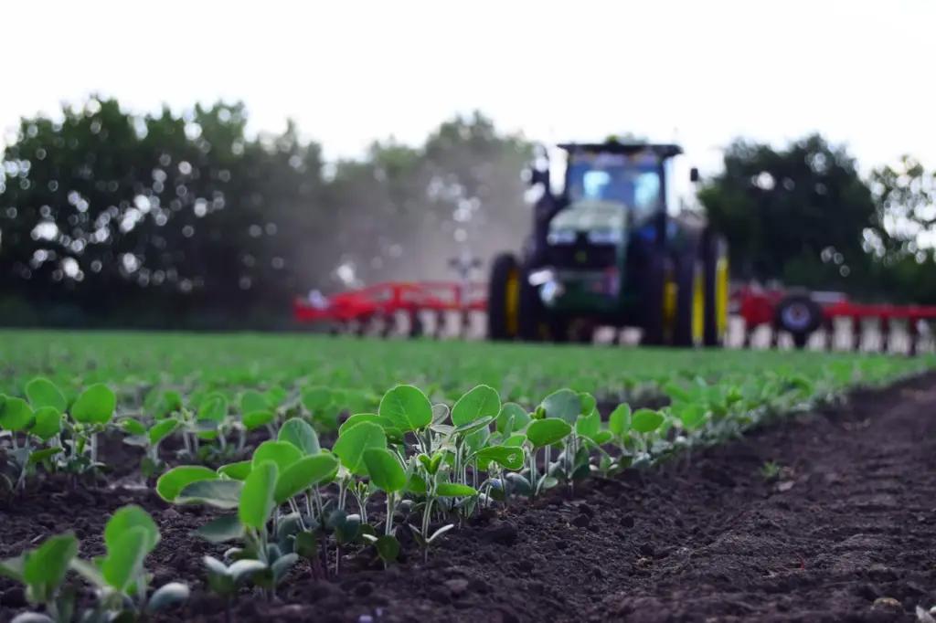 Рост органического производства в республике