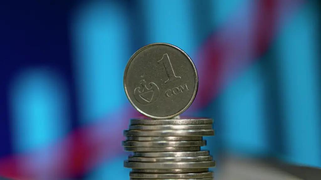 Сом укрепился ко всем четырем основным валютам. Курсы валюты НБ КР