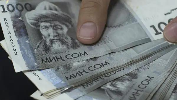 Депутаты ЖК против снижения своих зарплат до прожиточного минимума