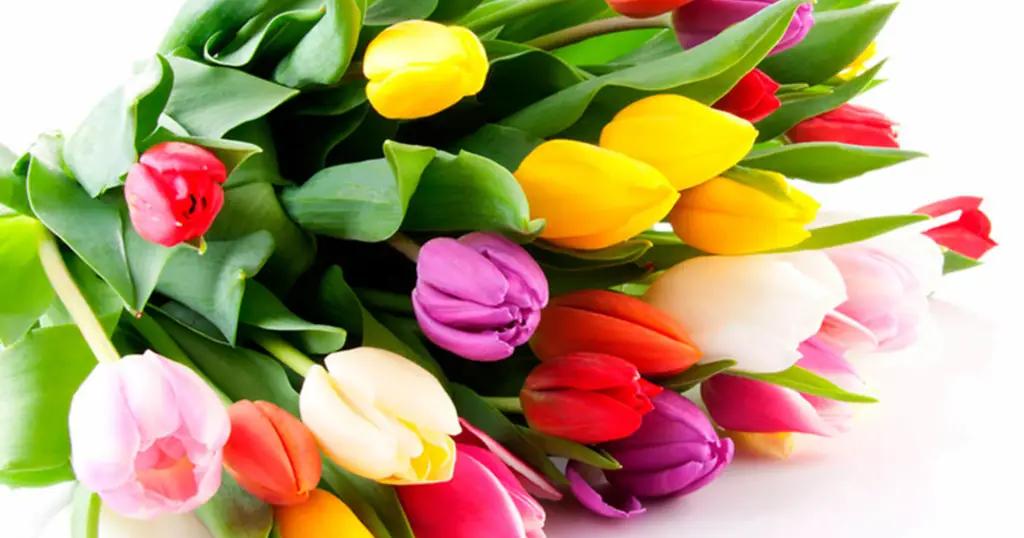 График работы коммерческих банков Кыргызстана в праздничные дни