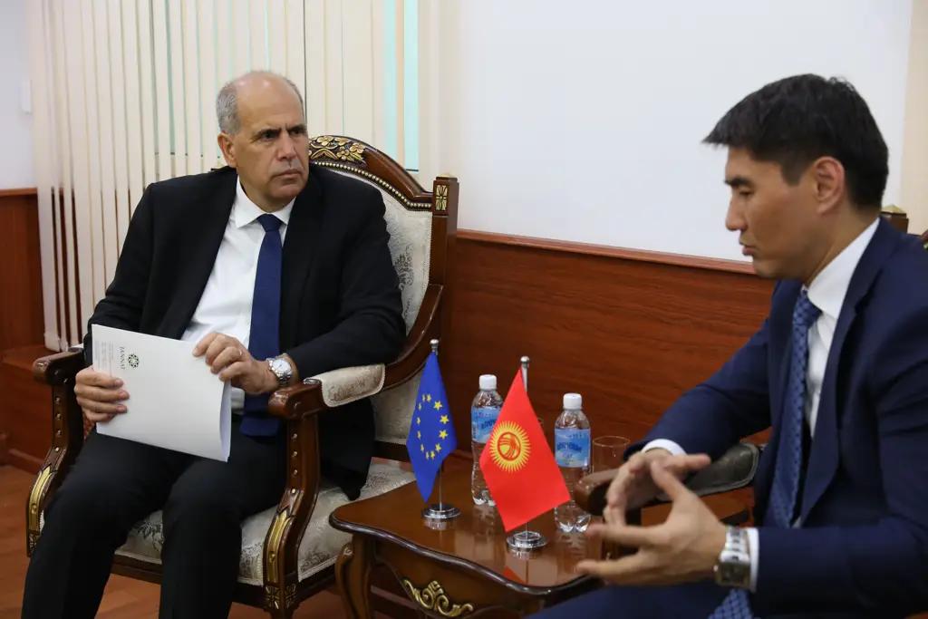 ЕС и КР обсудили рекультивацию урановых хвостохранилищ