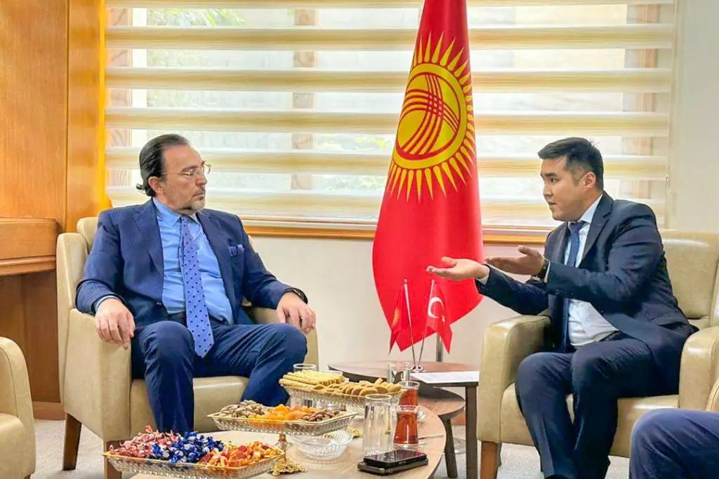 Турция и Кыргызстан продолжат работу в сфере электронной коммерции