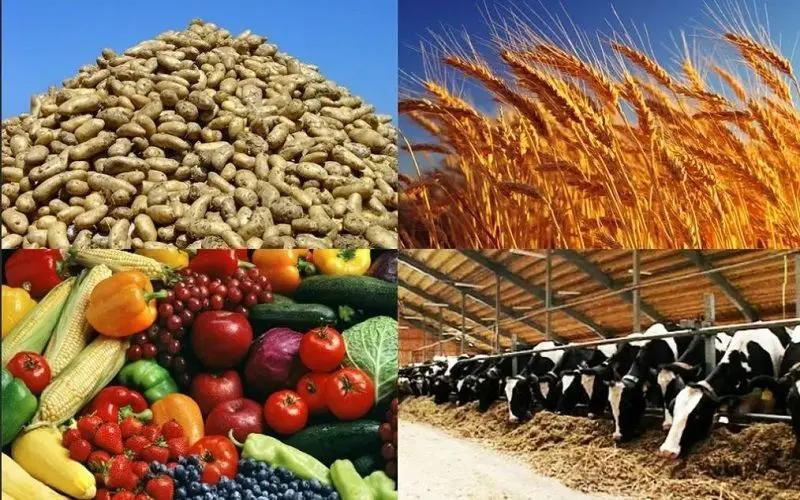 В Таласской области производят меньше всего сельхозпродукции