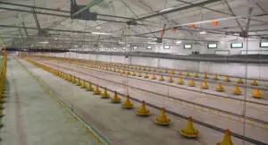 Ош облусунун Кара-Суу районунда текстиль фабрикасы ачылат