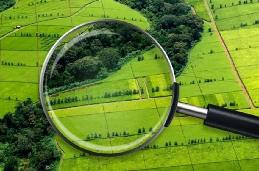 "Ak-Jol will give 3 hectares of land to the state voluntarily