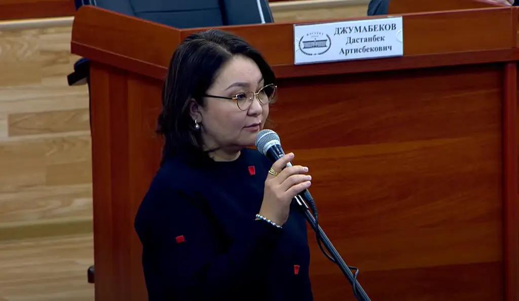 В Лейлеке не хватает угля, хотя там есть месторождение — депутат