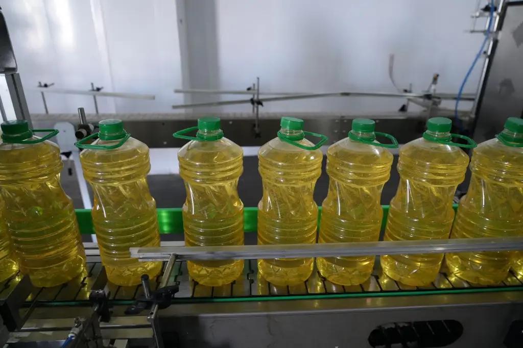 Modern high-tech vegetable oil production plant launched in Chui oblast