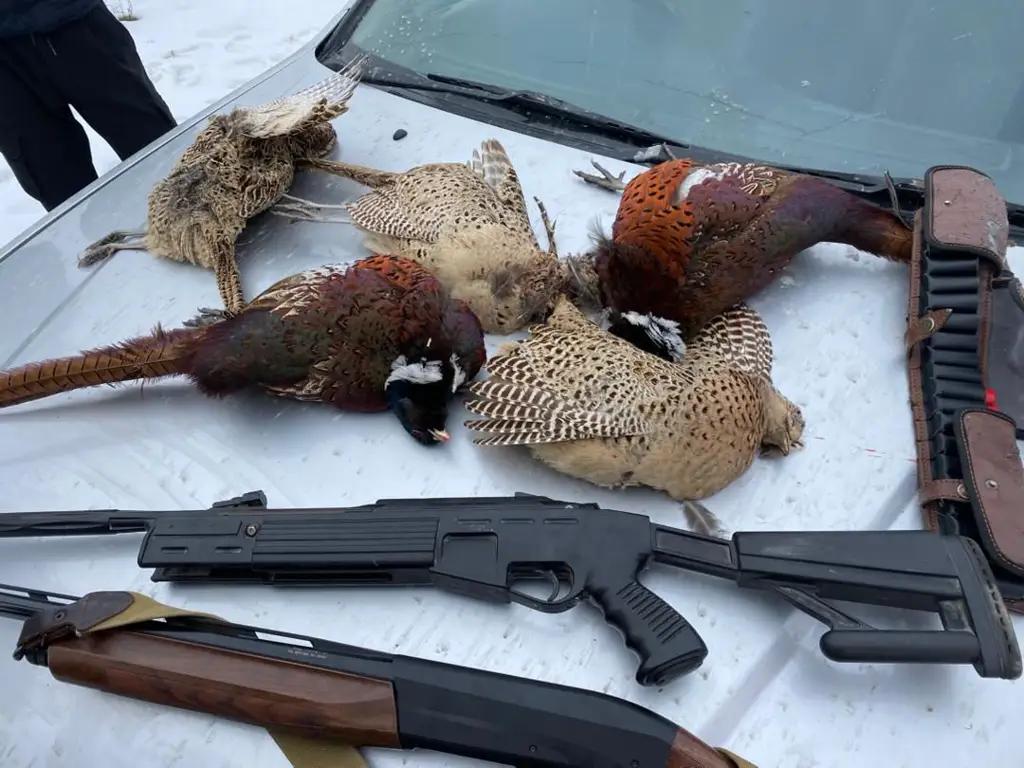 The Environmental and Technical Supervision Service has intensified its fight against poachers