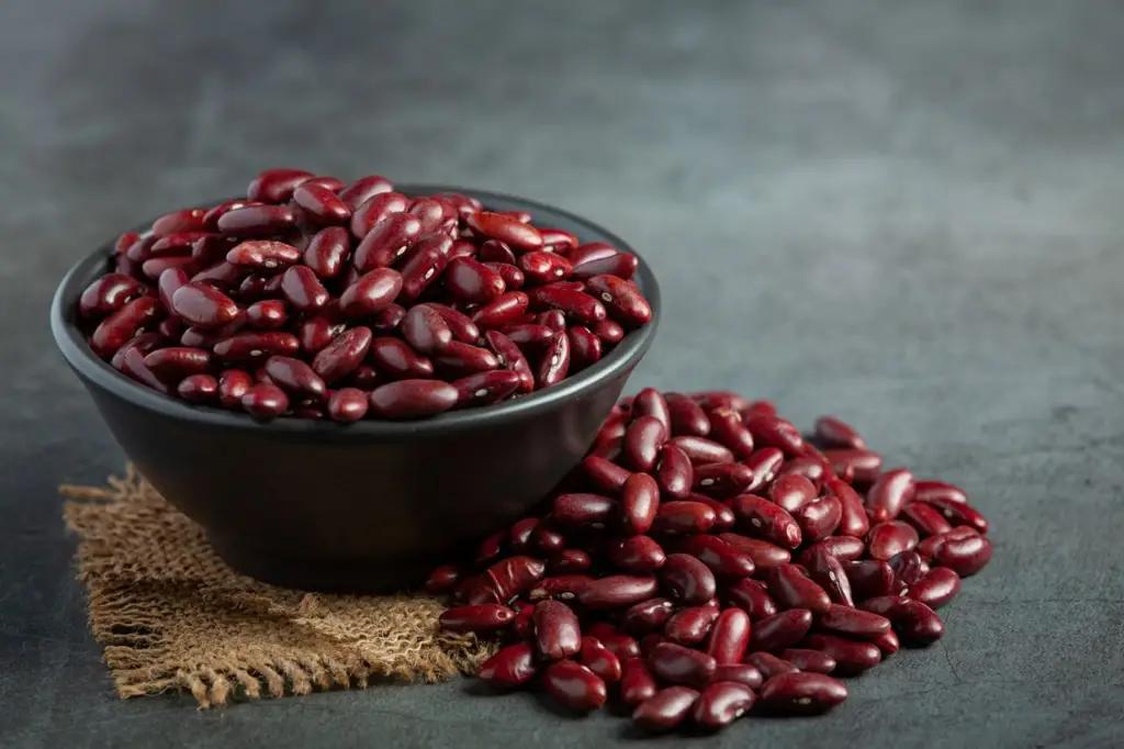Conditions are being created for export of Kyrgyz red beans to the Chinese market