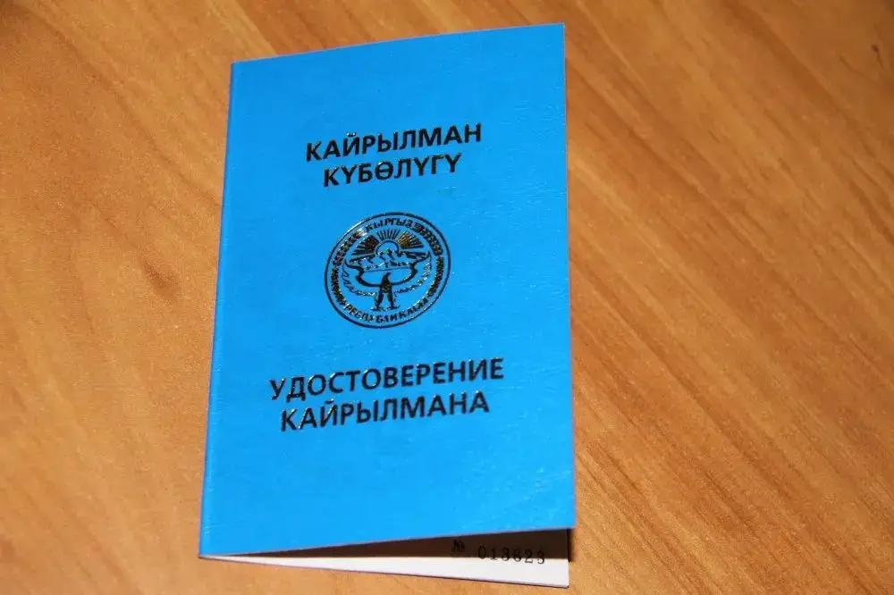 В 2024 году более 1.2 тысячи этнических кыргызов получили статус кайрылмана
