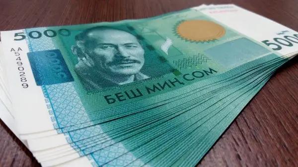В 2024 году Ветеринарная служба получила от государственных услуг 216 млн сомов