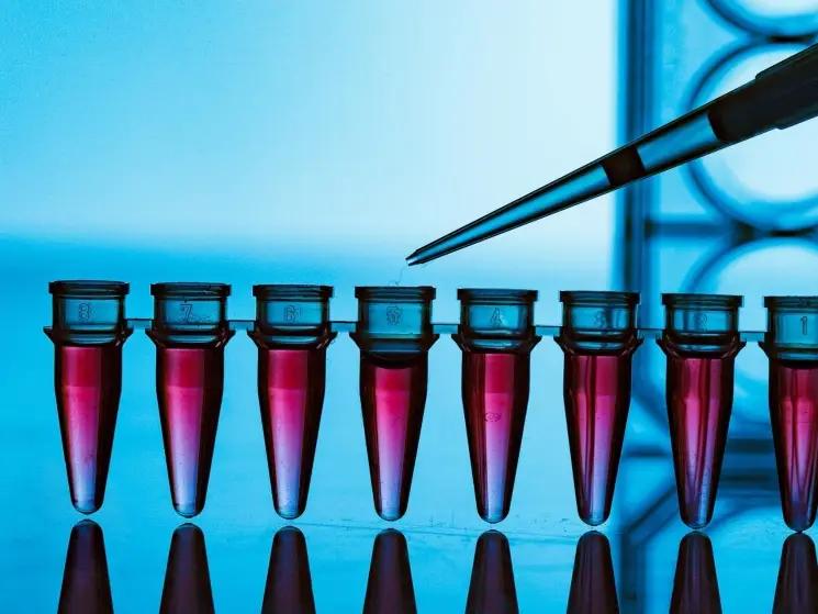 ЕЭК дала зеленый свет геномной селекции в животноводстве ЕАЭС