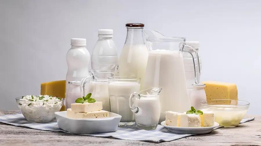 Growth of dairy exports from Kyrgyzstan to EAEU countries
