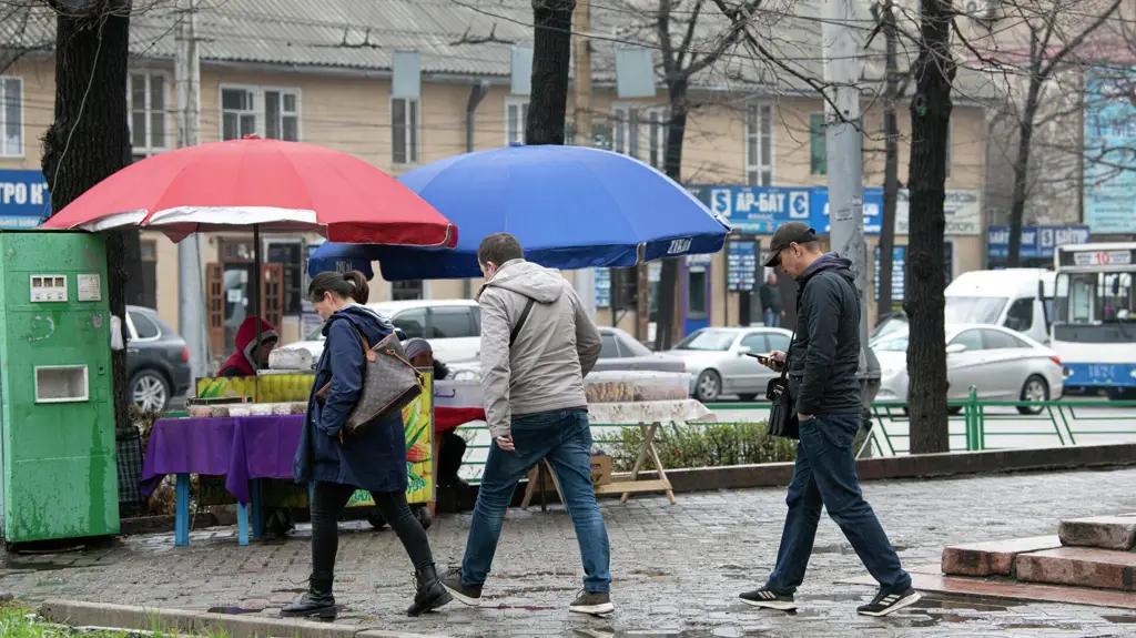 Какие сферы в Кыргызстане лидировали по увольнениям и найму в 2024 году