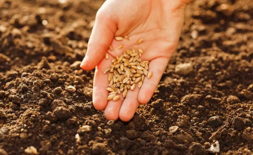 В Ноокенском районе начали восстанавливать пастбища