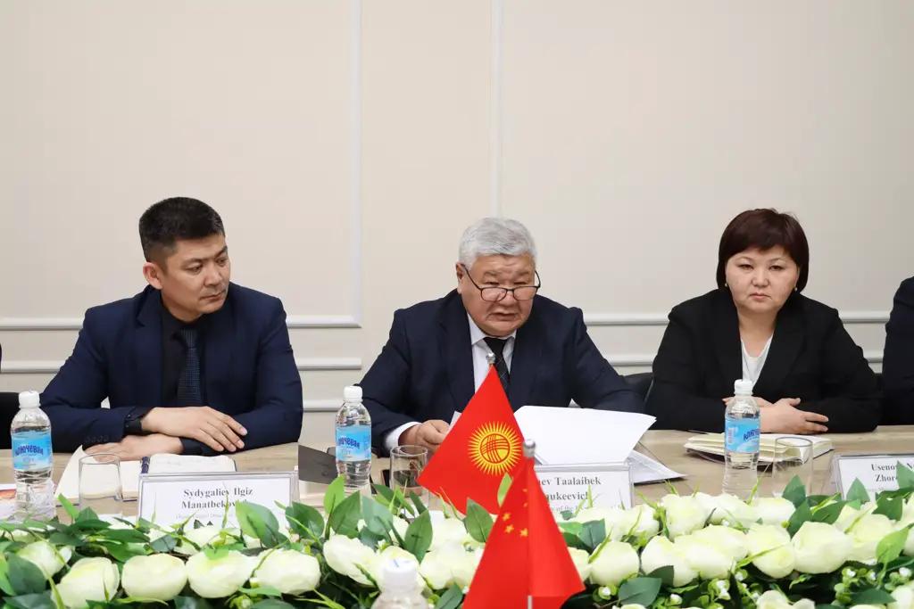 Кыргызстан в сфере энергетики сотрудничает с 22 китайскими партнерами