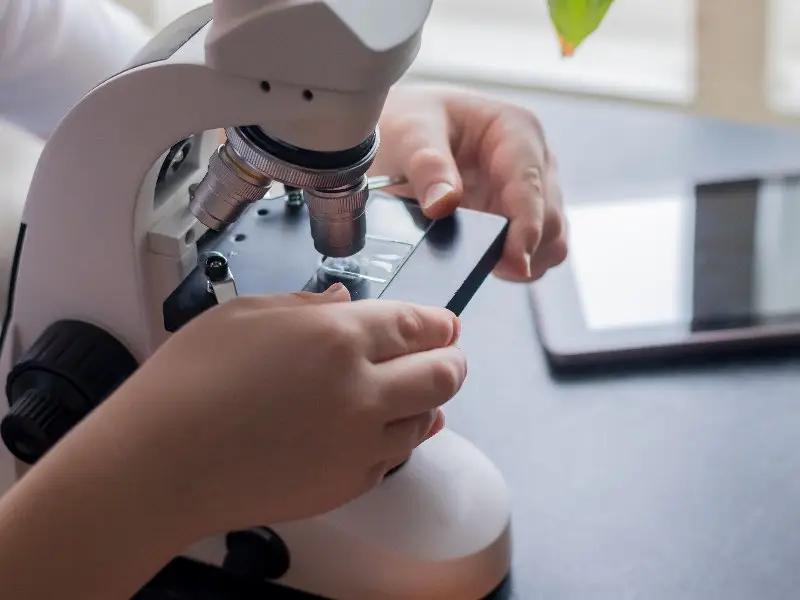 Sixty thousand children from five provinces of the country have been trained under the «Girls in Science» project