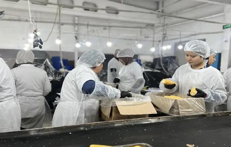 Кыргызстан и Свердловская область России укрепляют сотрудничество в сфере плодоовощного экспорта