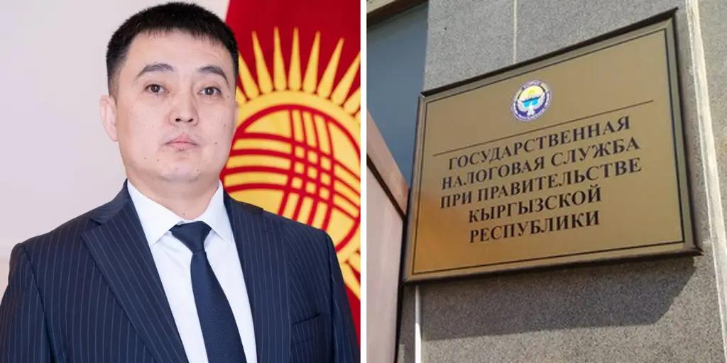 Мамлекеттик салык кызматына жаңы орун басар дайындалды