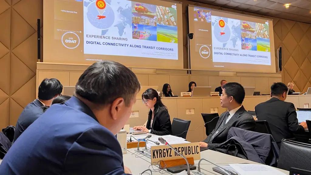 Кыргызстан представил проекты по цифровизации мультимодального коридора на форуме ВТО