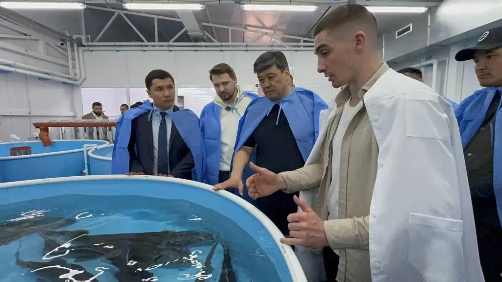 В Аламудуне открылся инкубационный цех по производству рыбопосадочного материала радужной форели и осетра