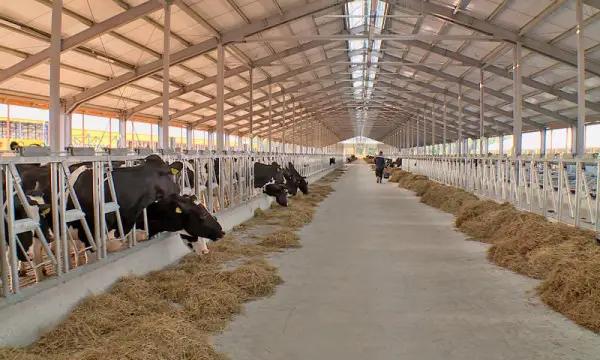 По проекту ФСХ-13 профинансировано 621.40 млн сомов льготных кредитов