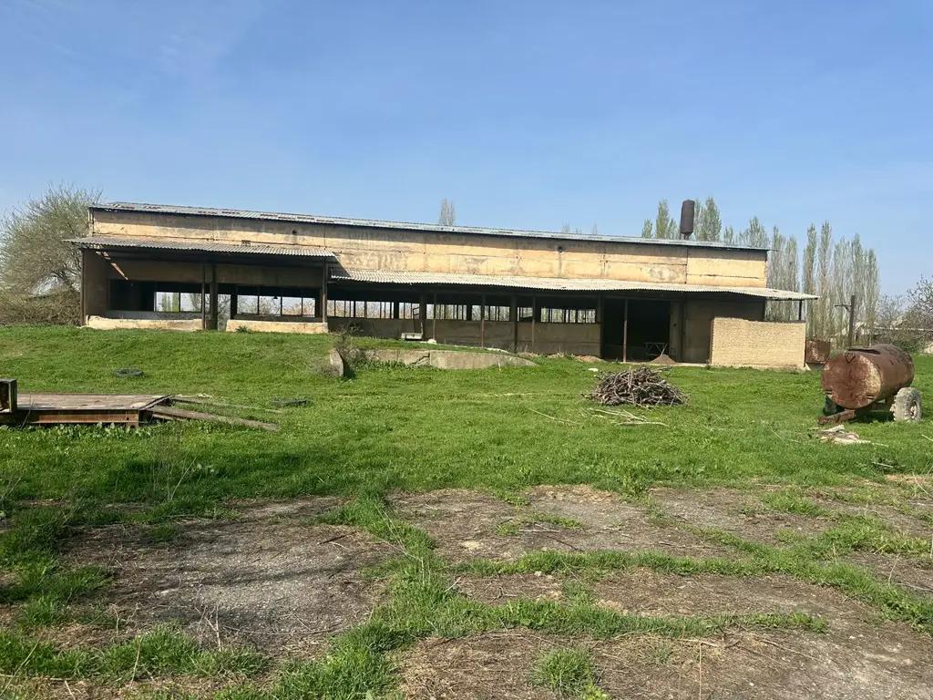 A distillery in Kara-Suu district worth 276 million soms has been returned to the state