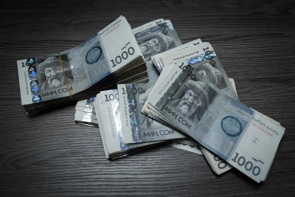 Пенсиялык топтомо фонддогу 53,7 млрд сом баалуу кагаздарга, депозиттерге салынган