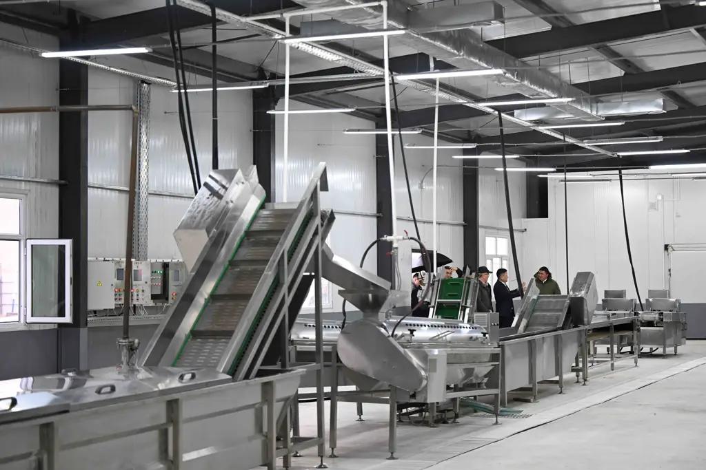 Жакында Нарында Кытайга эт азыктарын экспорттой турган ишкана ачылат