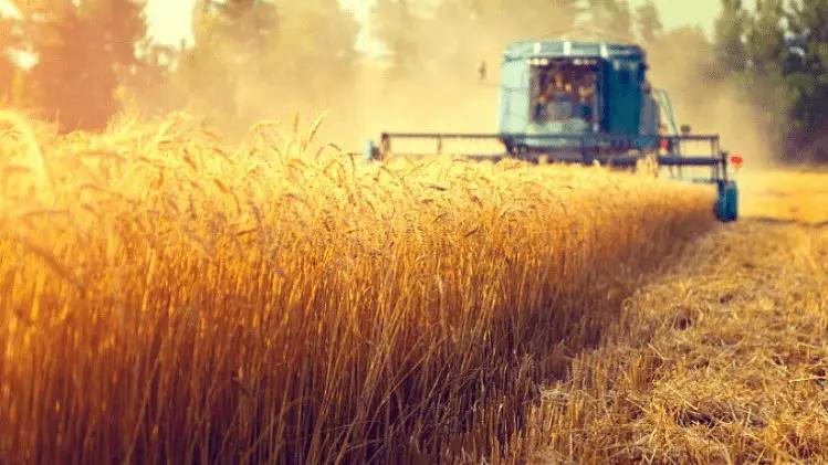 Jalal-Abad, Chui and Osh are leaders in attracting concessional loans under Financing of Agriculture-13