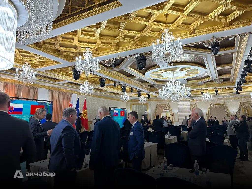 Более 30 словацких компаний находятся в Кыргызстане