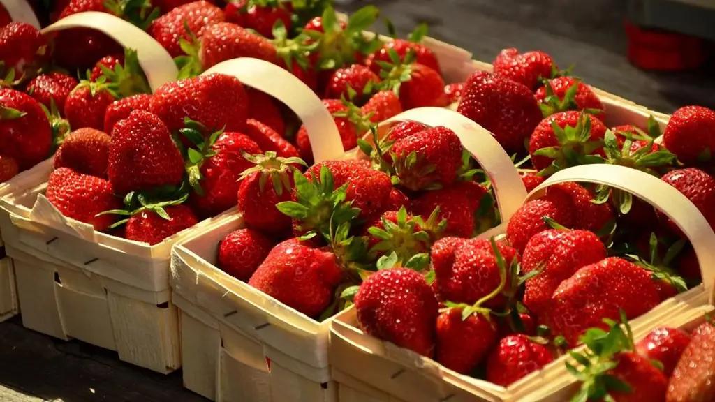 В Баткенском районе 28 семей создали кооператив для выращивания экспортной клубники