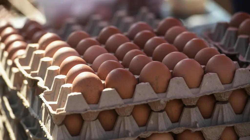 Кыргызстанга чет жактан жумуртка ташып келүүгө тыюу салынды