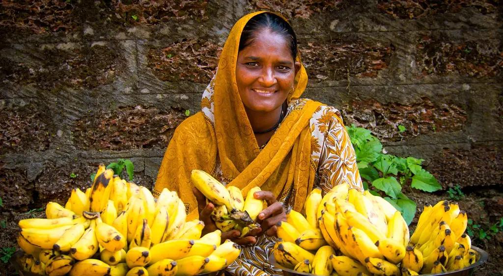 India starts supplying bananas to Kyrgyzstan