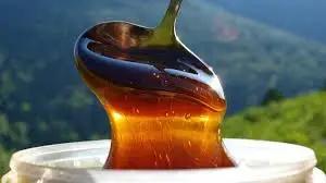 Kyrgyz honey exports increased: 68 tons shipped in three months