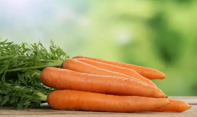 Кыргызстан стал крупнейшим покупателем узбекской моркови