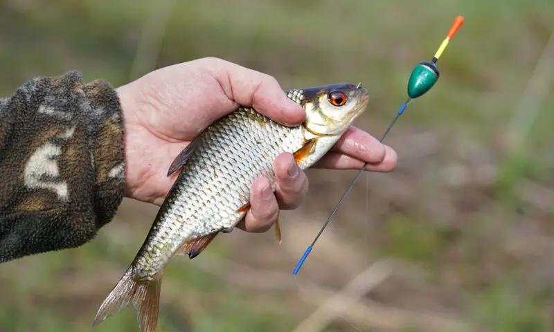 В Таласской области ввели запрет на любительскую и спортивную рыбалку