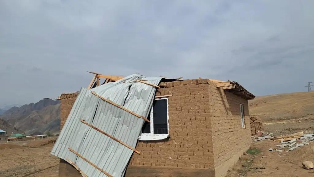 Что получили владельцы застрахованных домов после землетрясения и урагана?