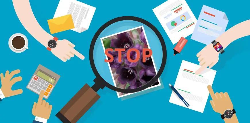 В Кыргызстане введен мораторий на сбор диких растений