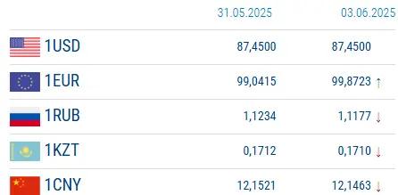 Euro rose, ruble fell. National Bank rates for June 3