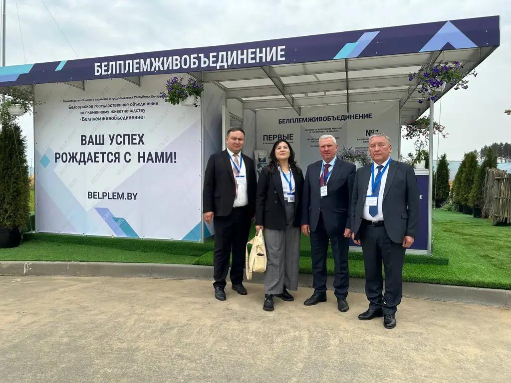 Belarusians will buy Kyrgyz potatoes