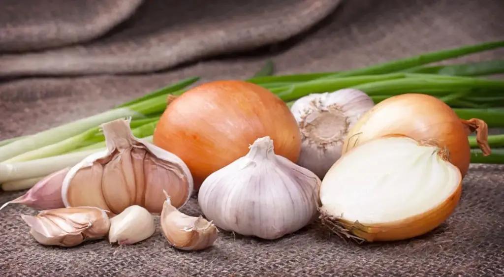 Экспорт лука и чеснока из Кыргызстана упал почти в 50 раз